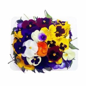 import placeholder for 252058
