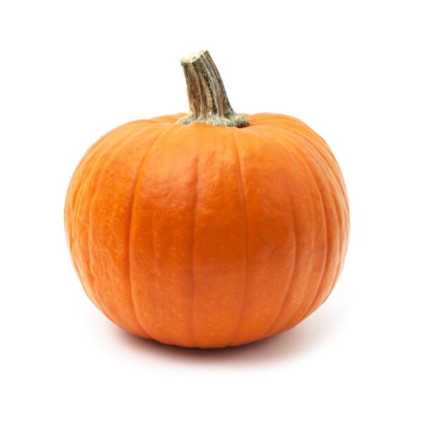 calabaza de halloween