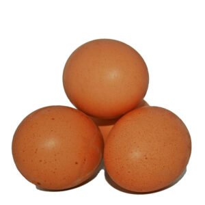 import placeholder for 251882