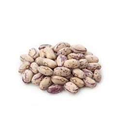 import placeholder for 252341