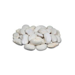 import placeholder for 252332