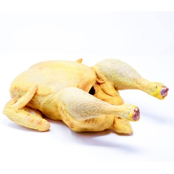 import placeholder for 252201