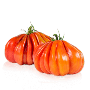 import placeholder for 252066